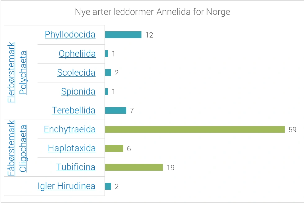 Tabell_leddormer2