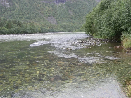 Bilde av Hardbunn i ferskvann