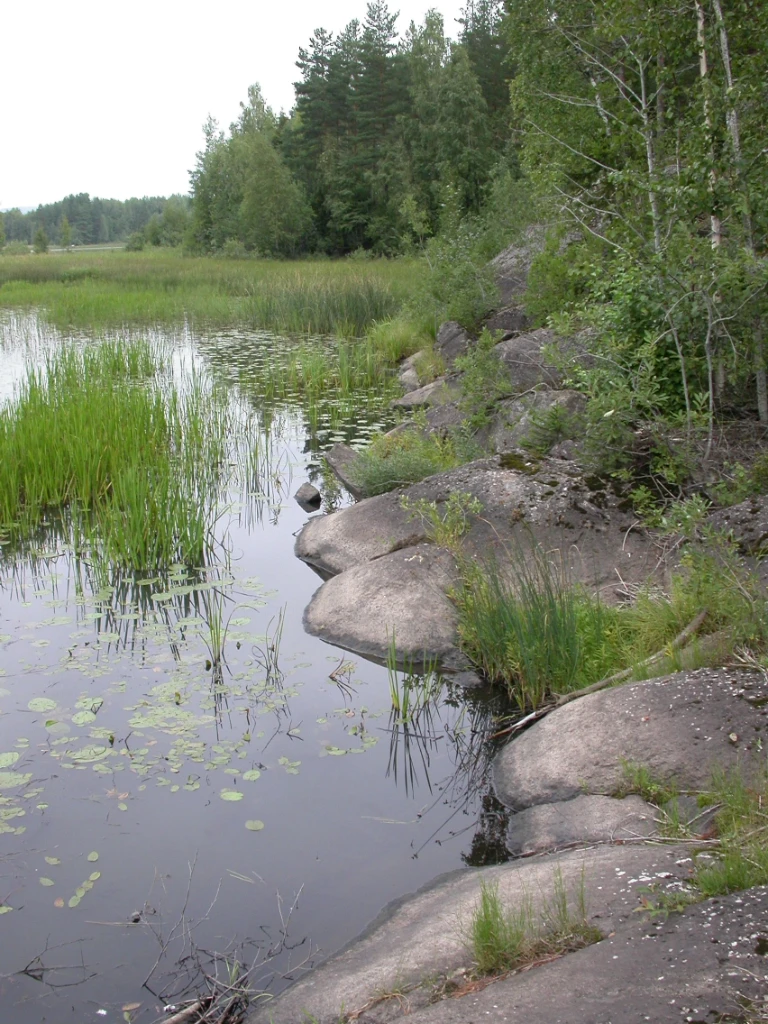 Bilde av naturtypen