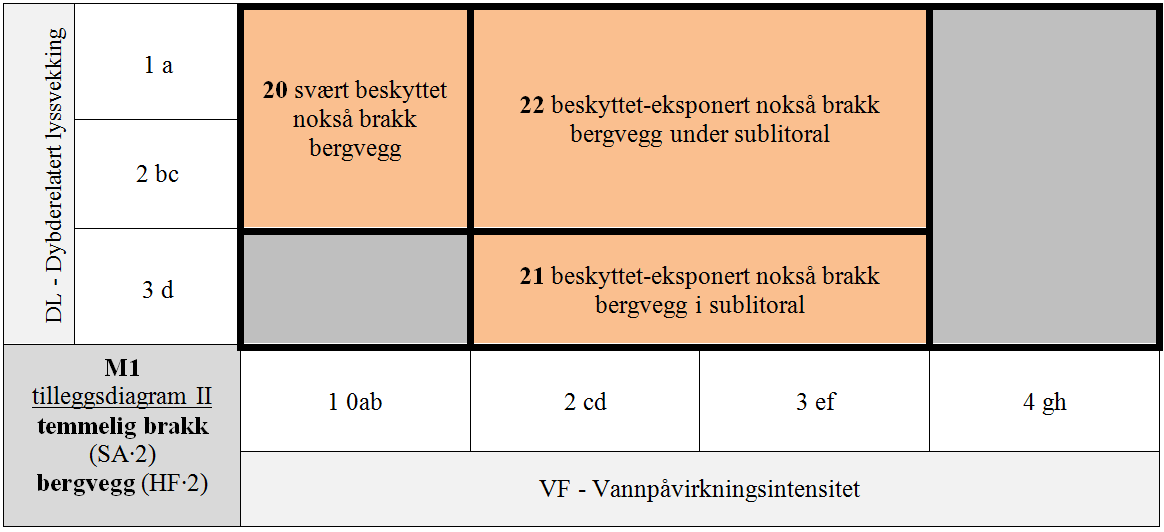 M1 Eufotisk fast saltvannsbunn.