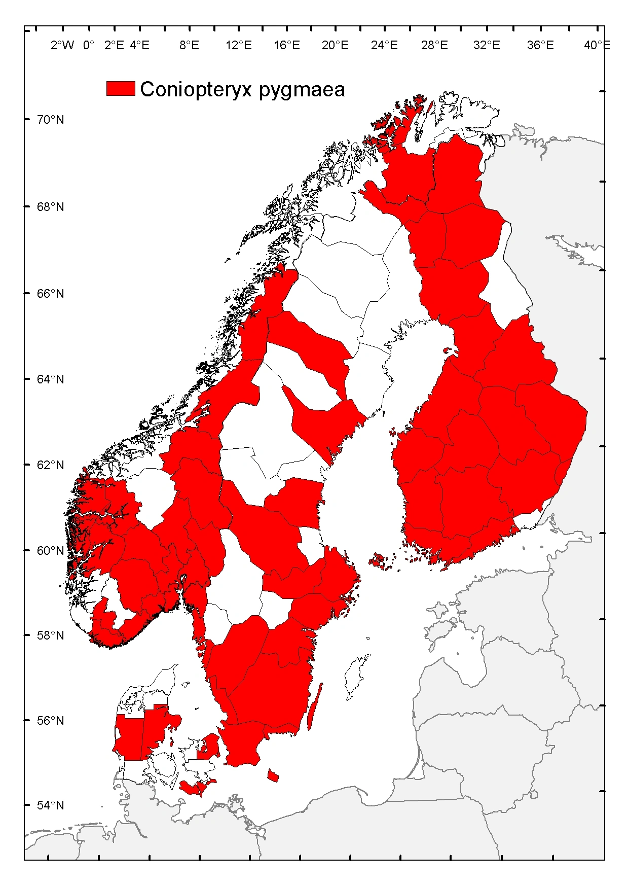 Pygmevoksvinge.