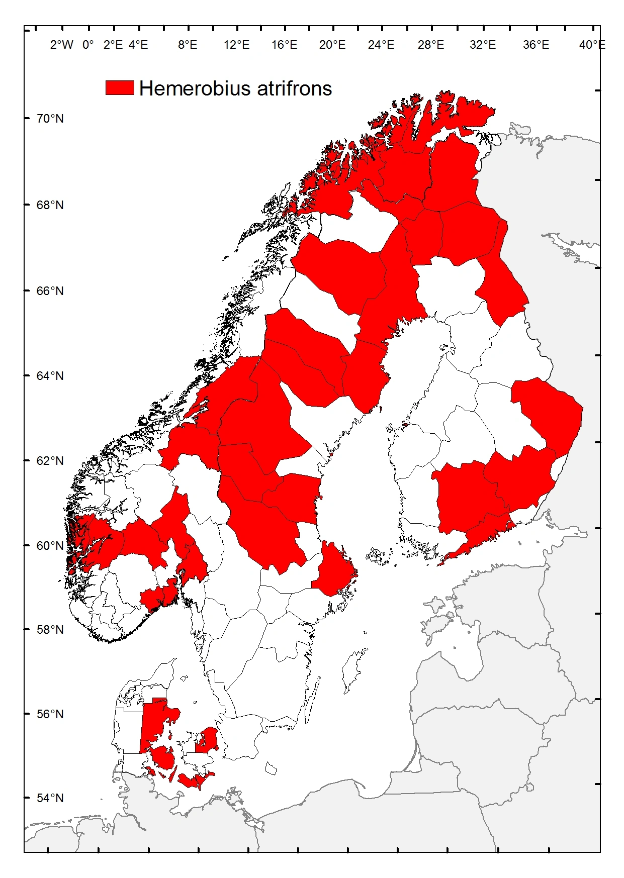 Svartpannebladlusløve.