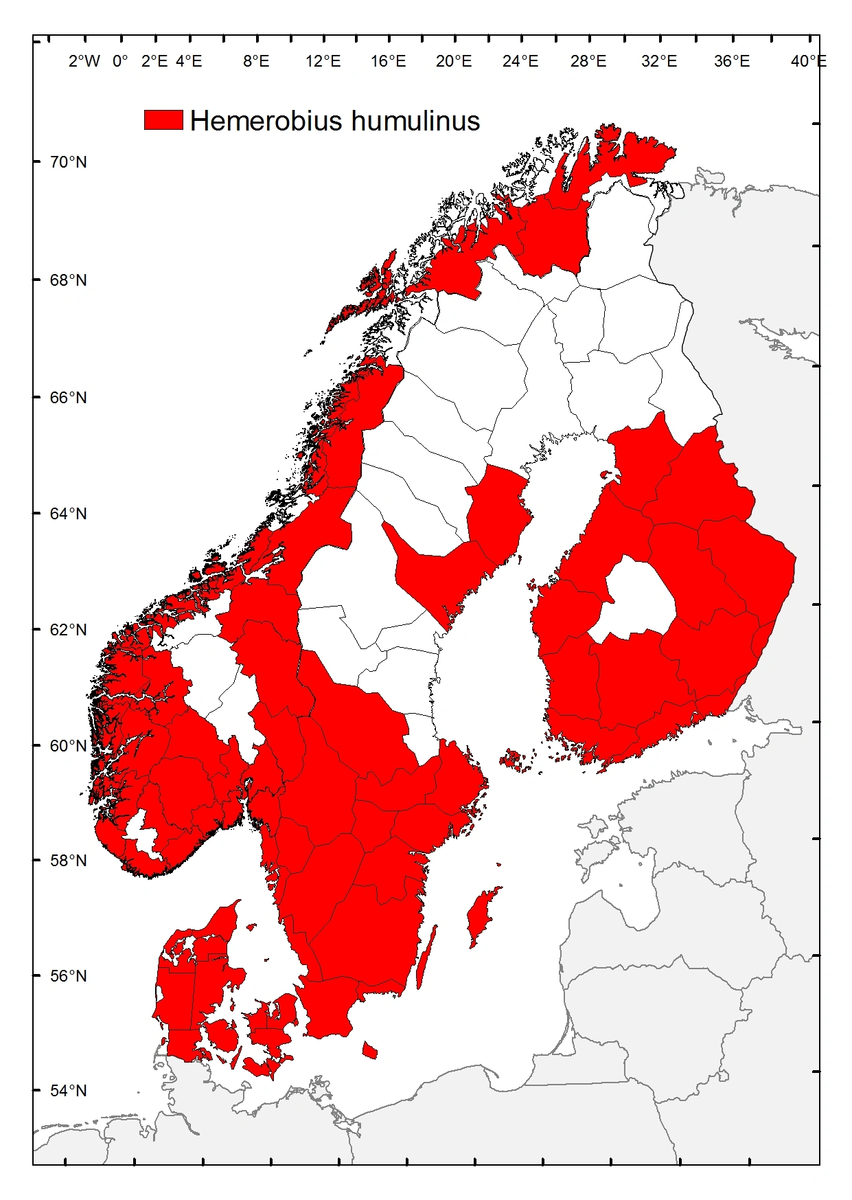 Bladlusløver: Hemerobius humulinus.