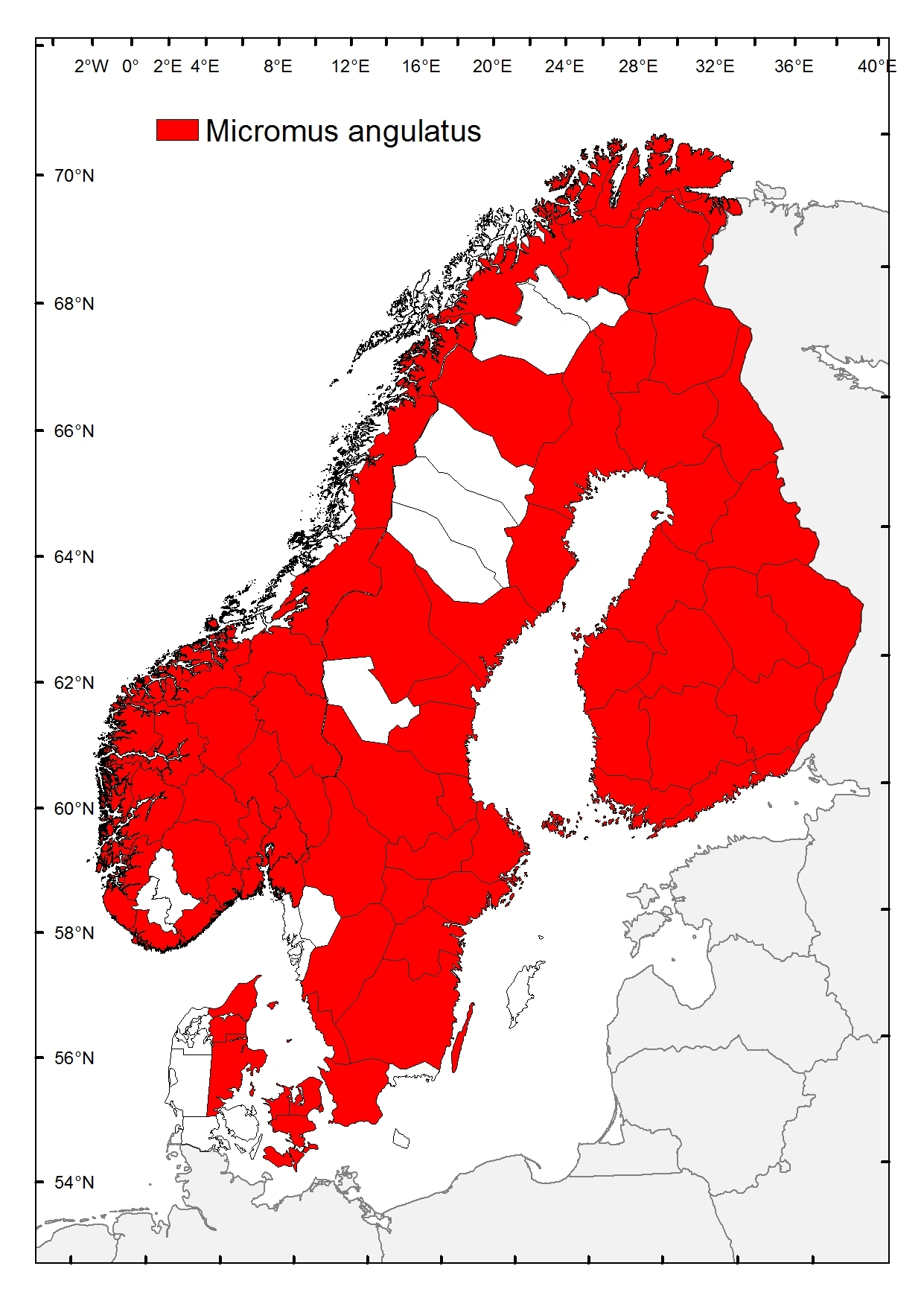 Hakebladlusløve.