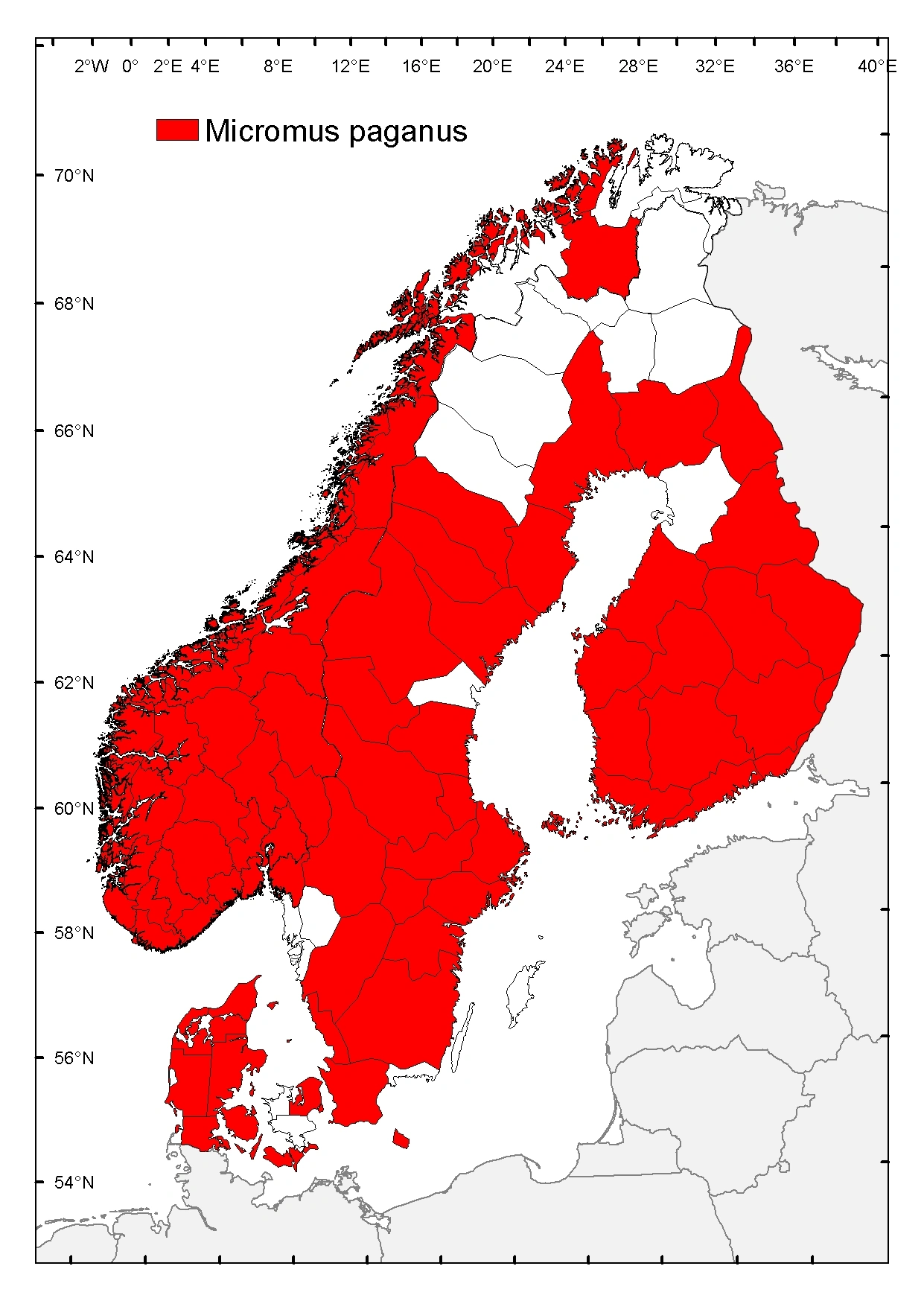 Klobladlusløve.