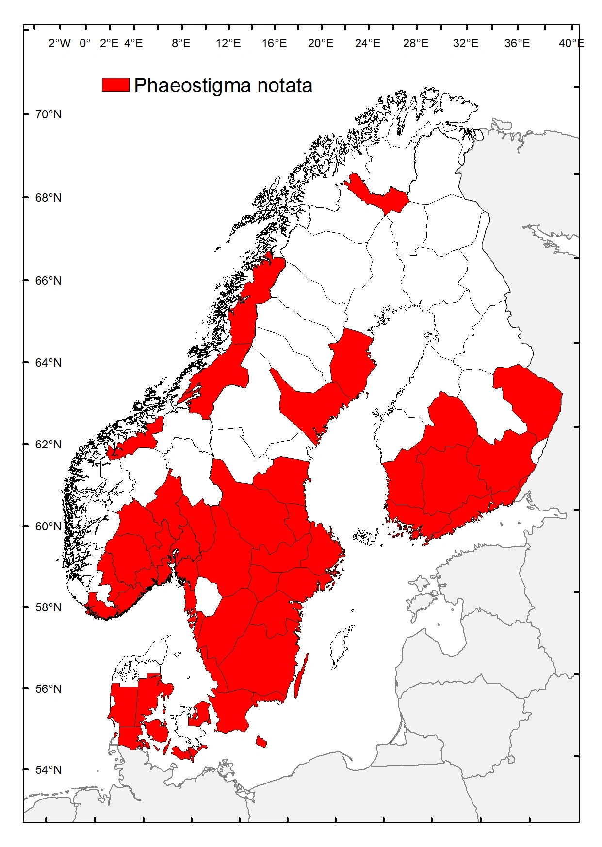 Fircellekamelhalsflue.