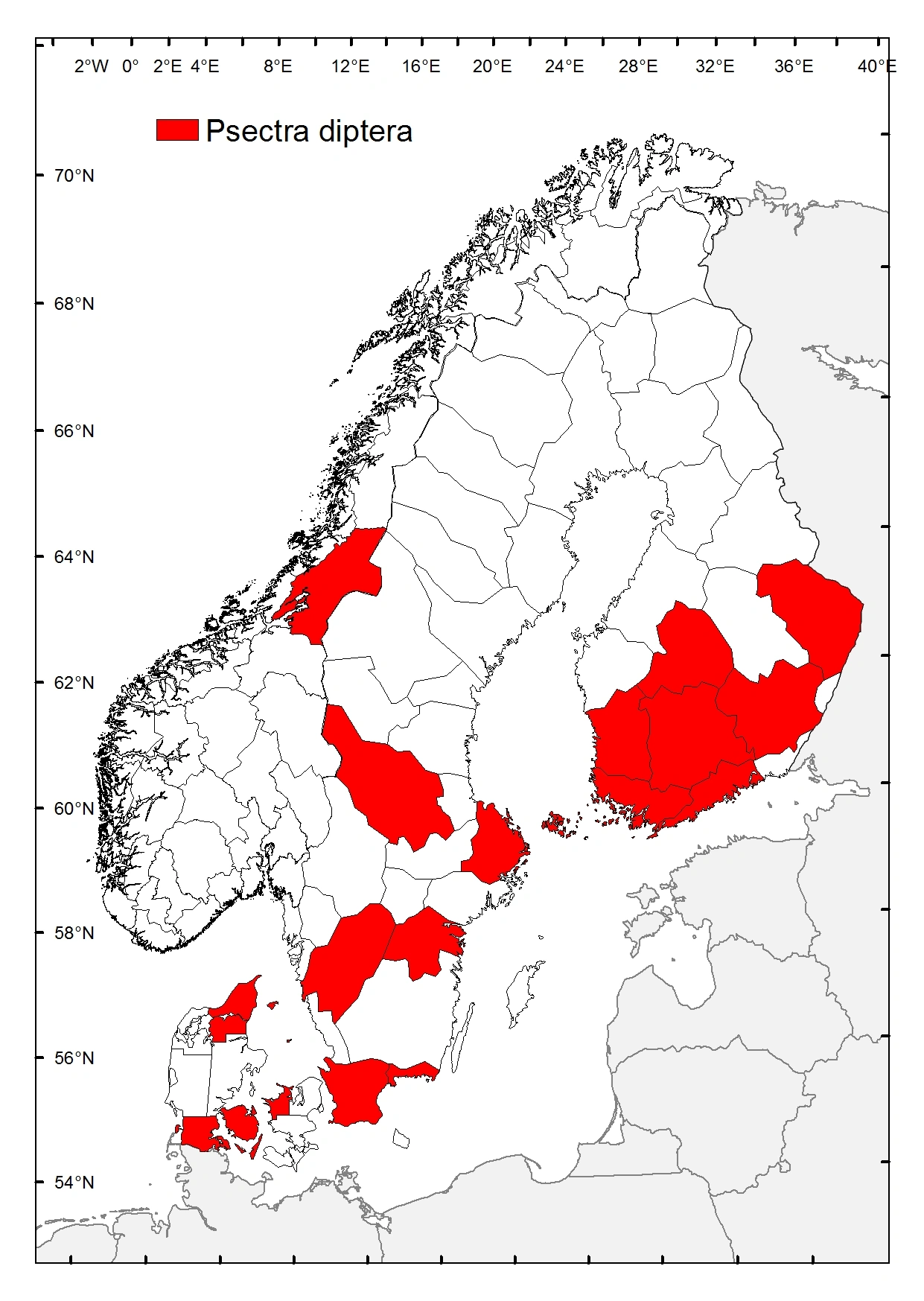 Dvergbladlusløve.