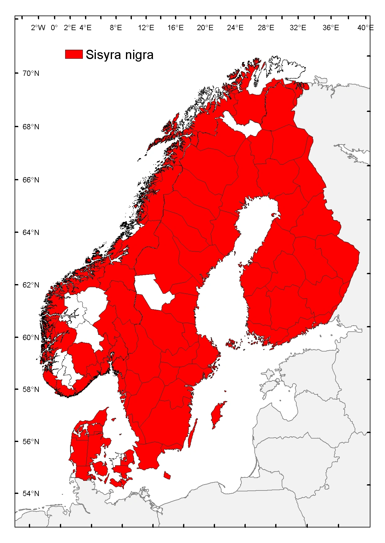 Svartsvampflue.