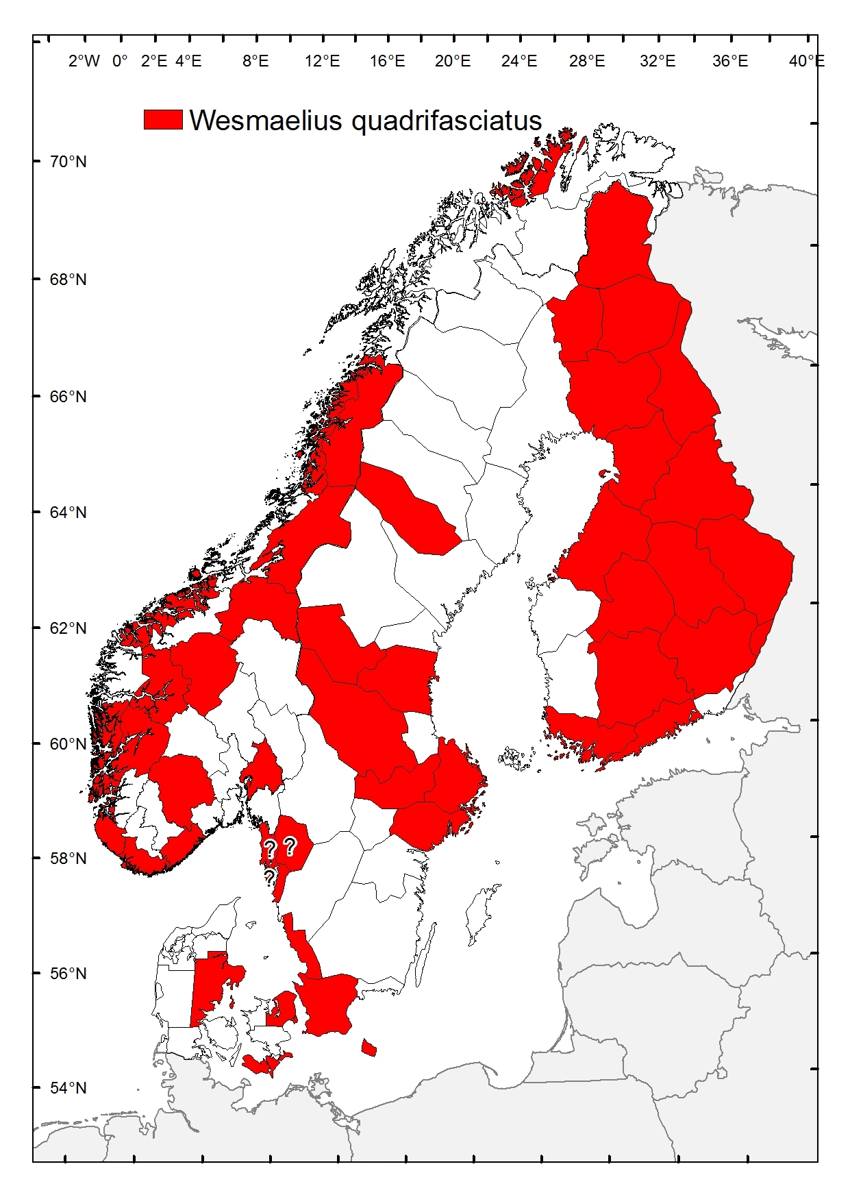 Båndbladlusløve.