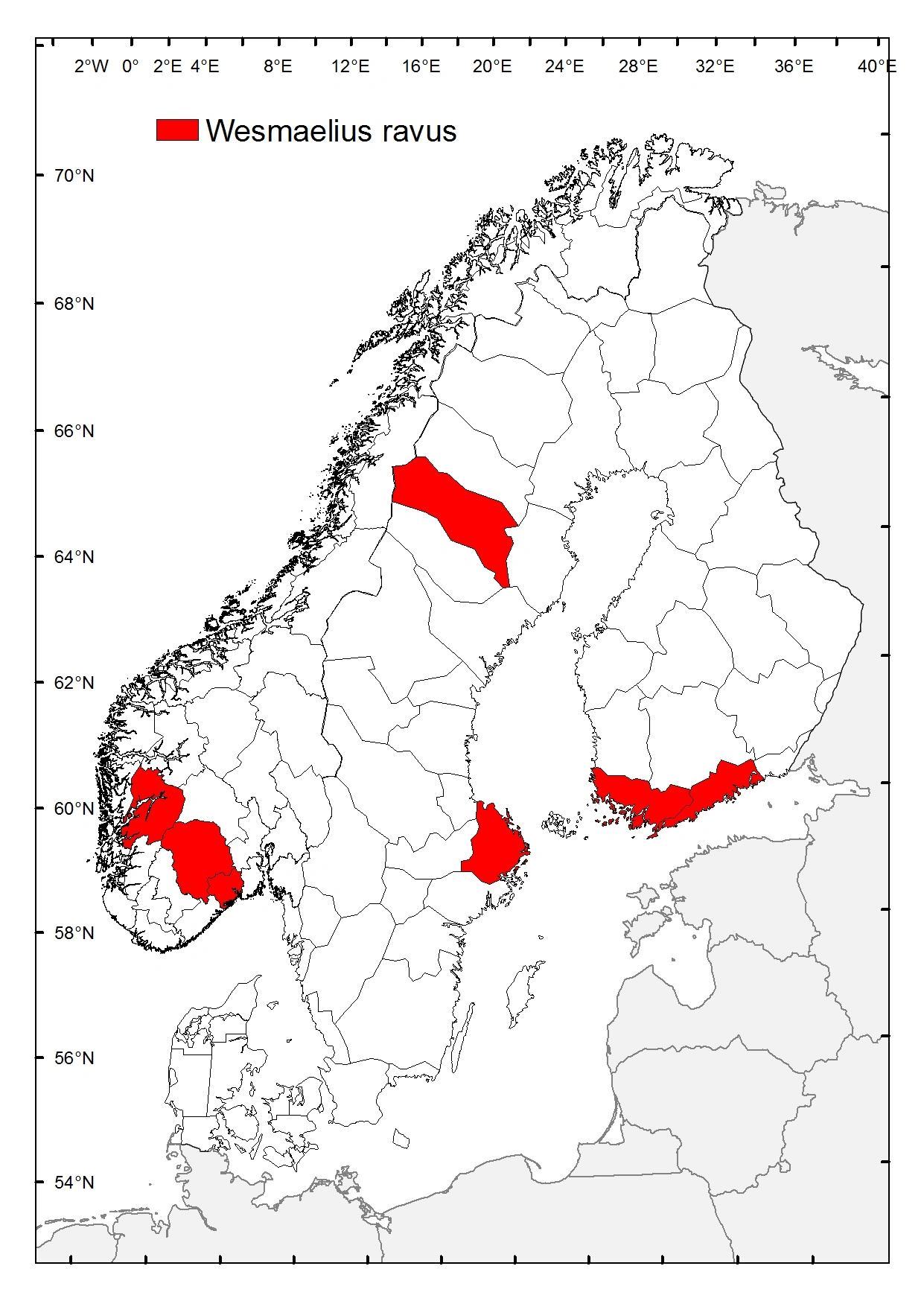 Gråbladlusløve.