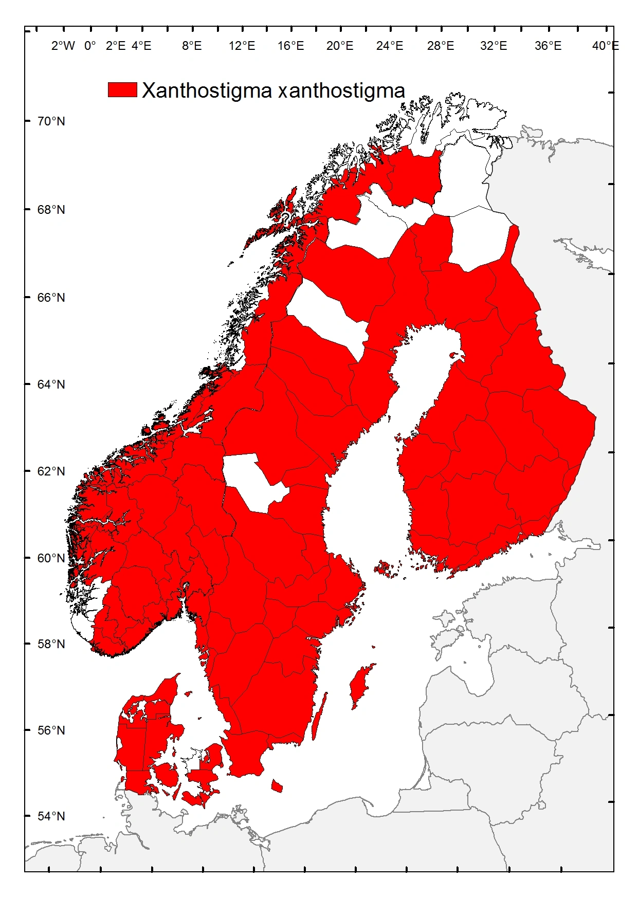 Gulflekkamelhalsflue.