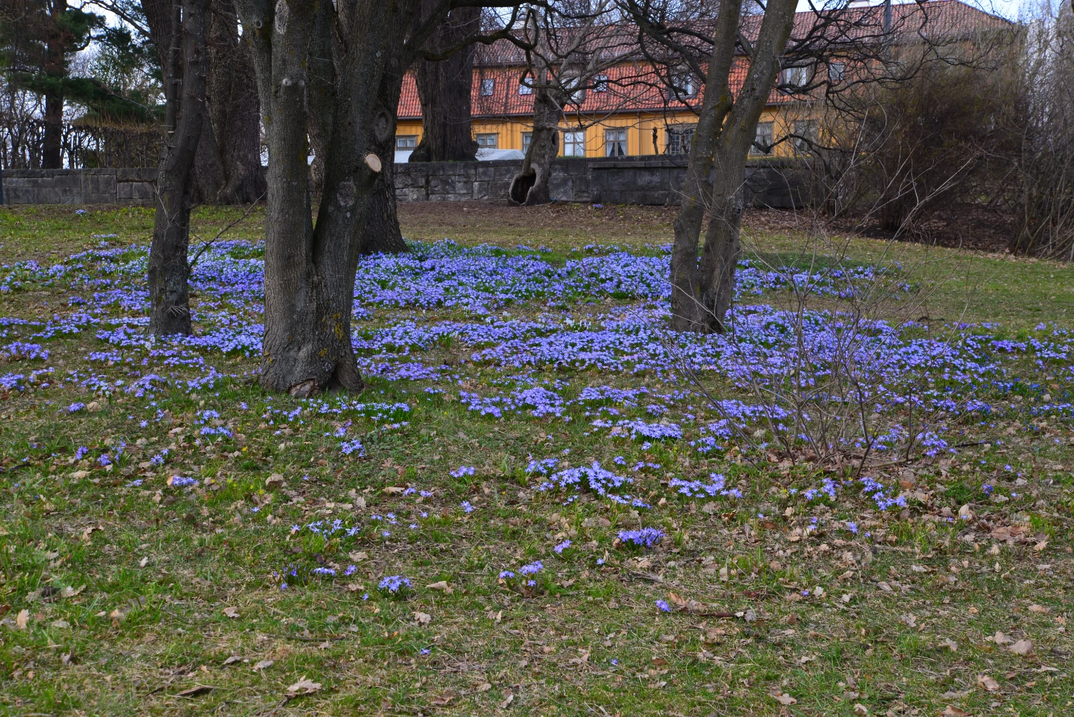 Bilde av naturtypen