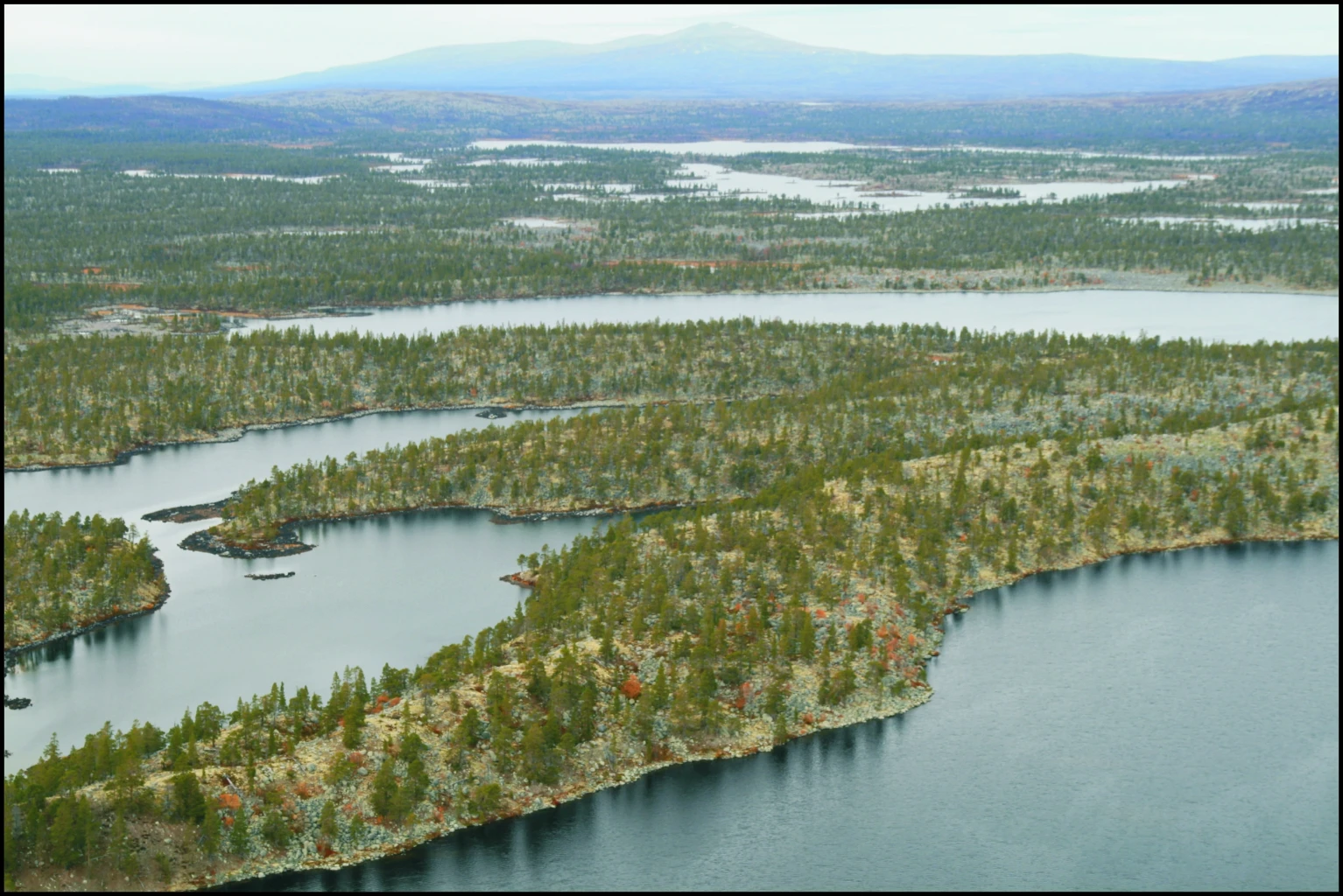 Bilde av naturtypen