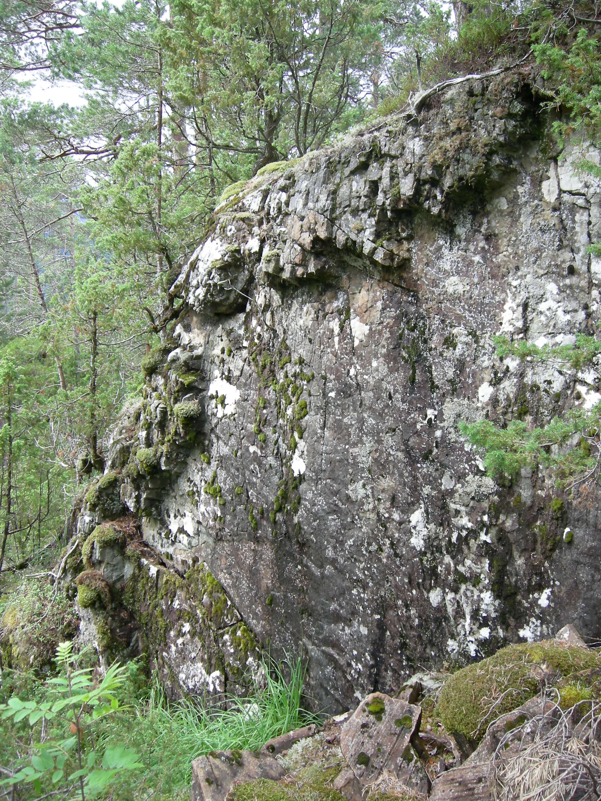 T1-C-4 uttørkingseksponerte litt kalkfattige og svakt intermediære berg, bergvegger og knauser.