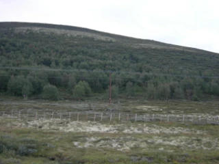 T31-C-3 kalkfattig boreal lavhei.