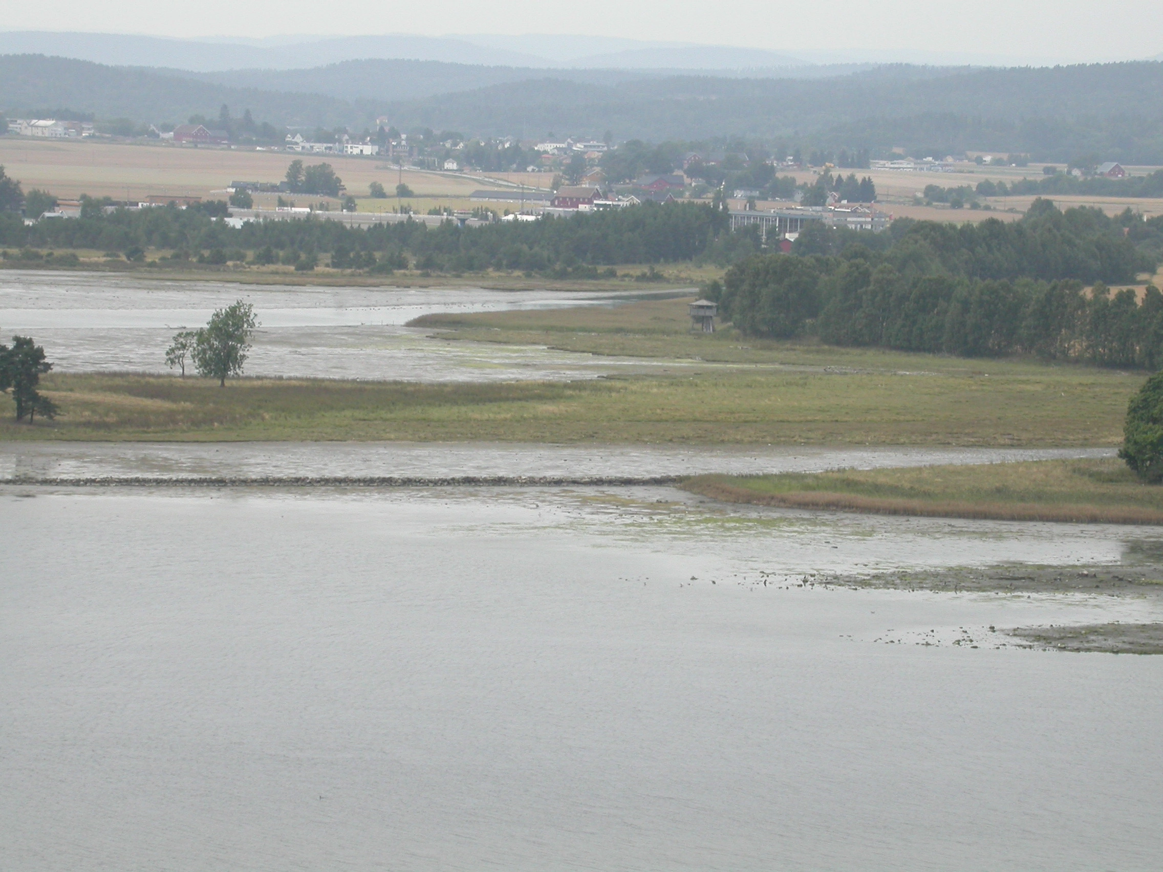 T33-C-2 øvre semi-naturlig strandeng.