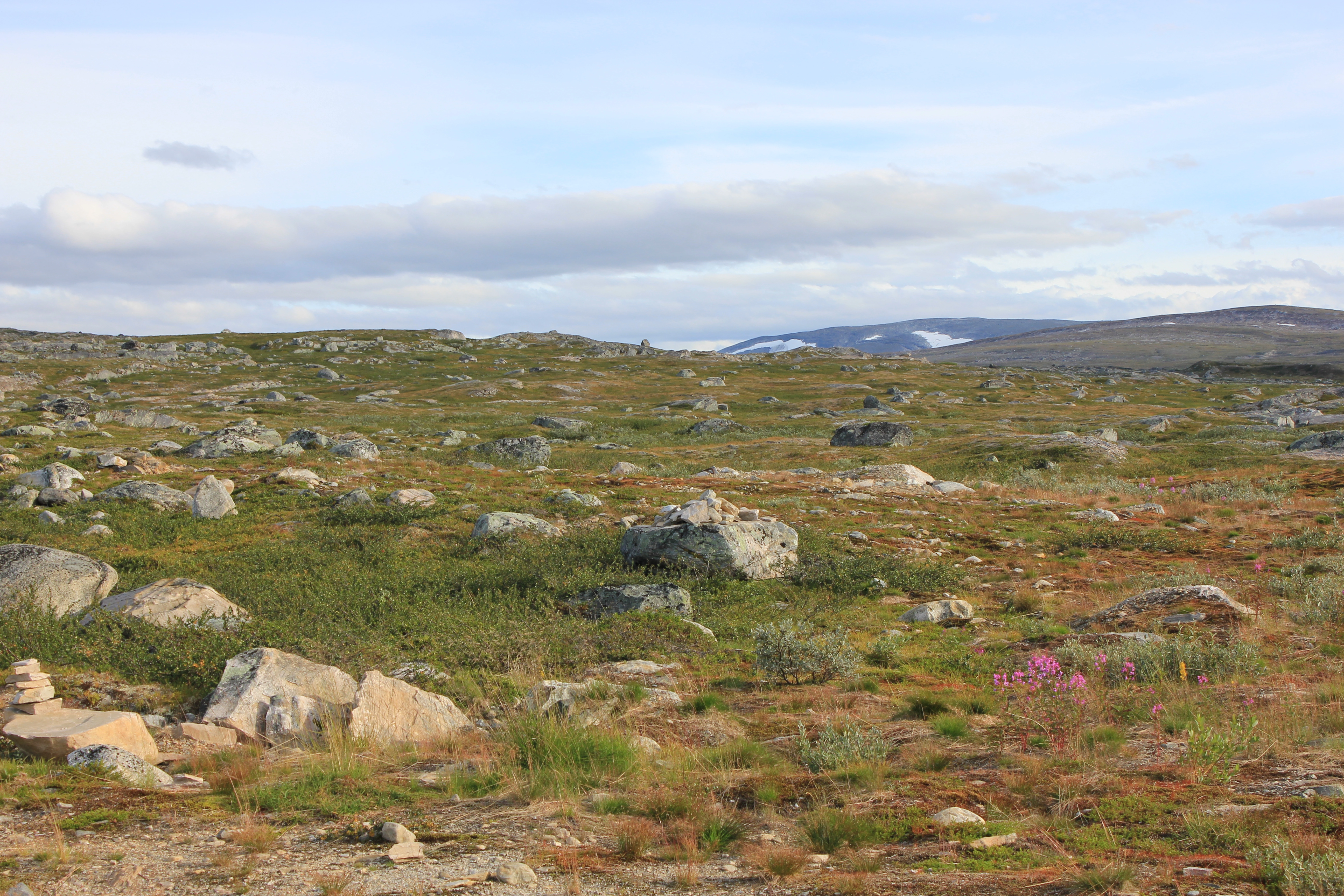 LA-TI-I-A-25 Slakt til småkupert ås- og fjellandskap med bart fjell over skoggrensen.