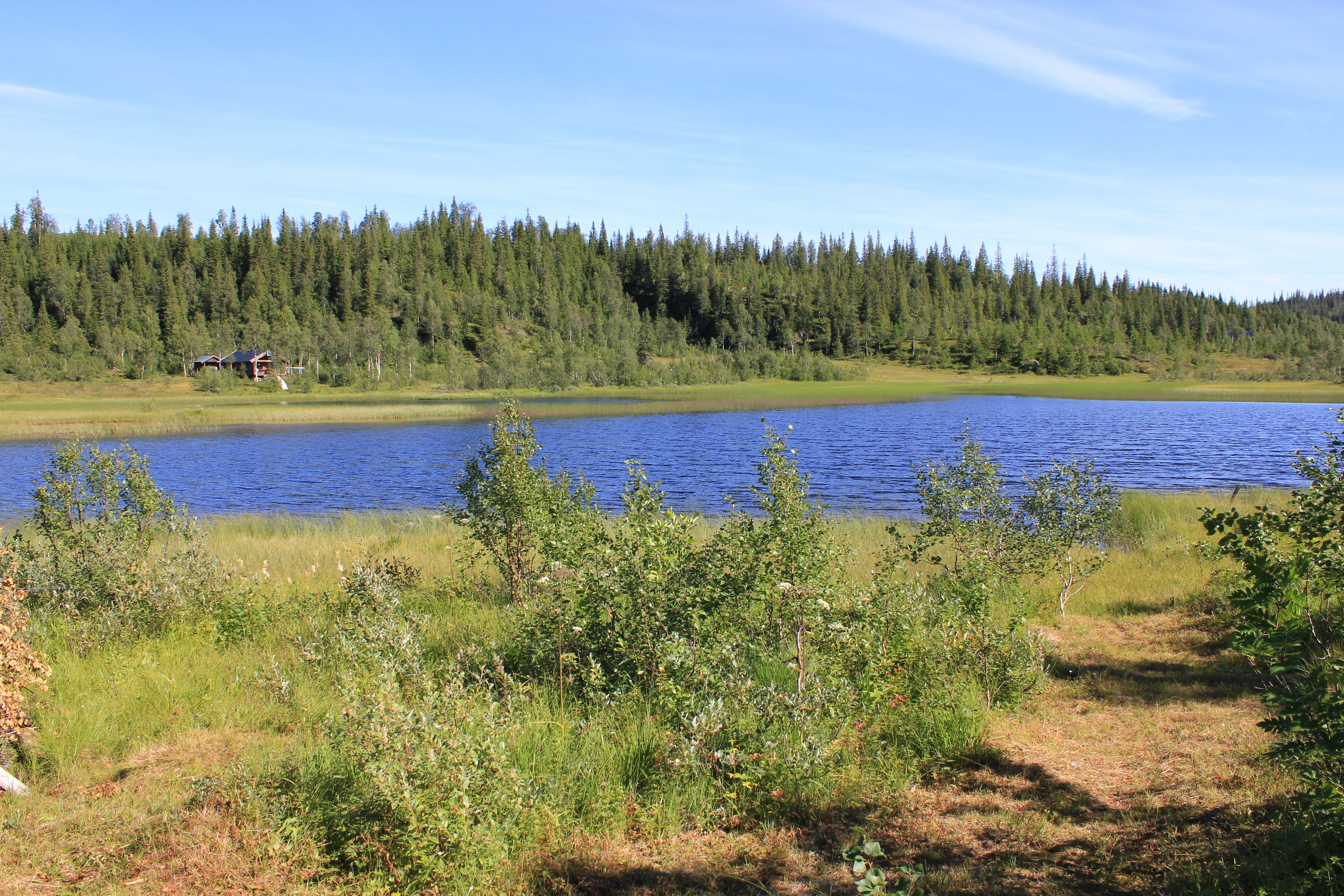 LA-TI-I-A-27 Middels kupert ås- og fjellandskap under skoggrensen.