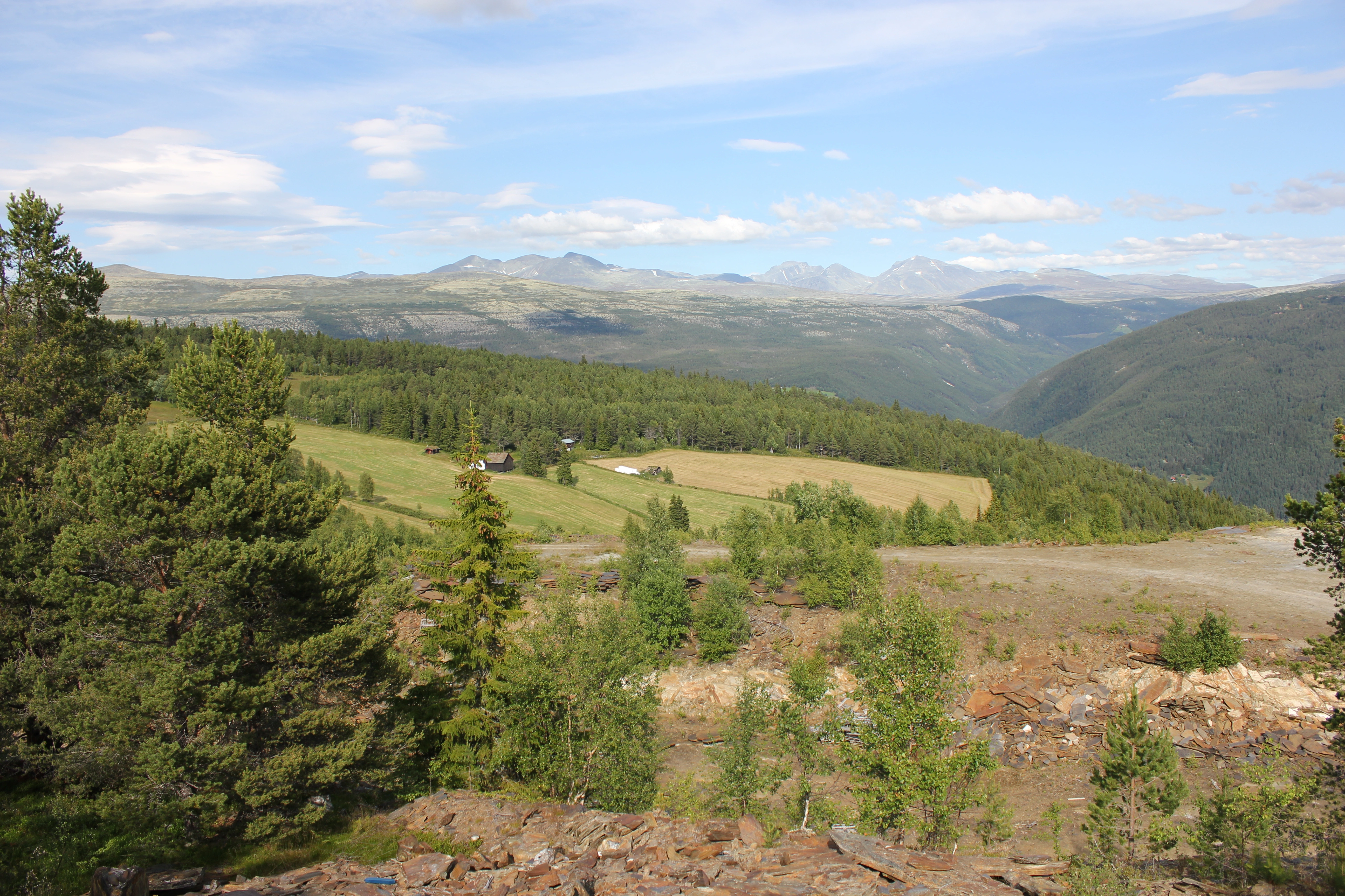 LA-TI-I-A-41 Kupert ås- og fjellandskap under skoggrensen med bebygde områder.