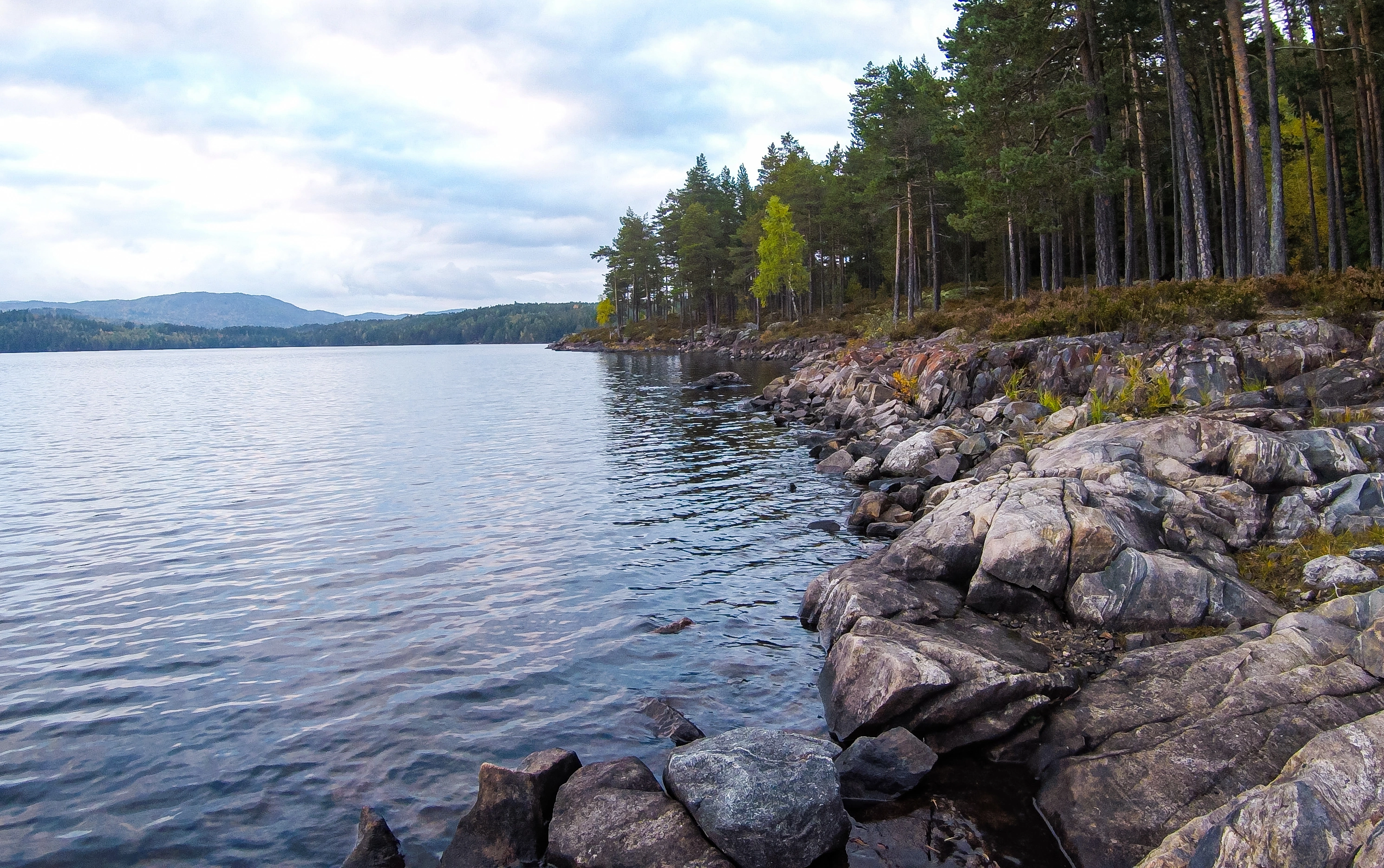 L1-C-5 Noe kalkfattig og eksponert fast strandkant-innsjøbunn. L1 Eufotisk fast innsjøbunn.