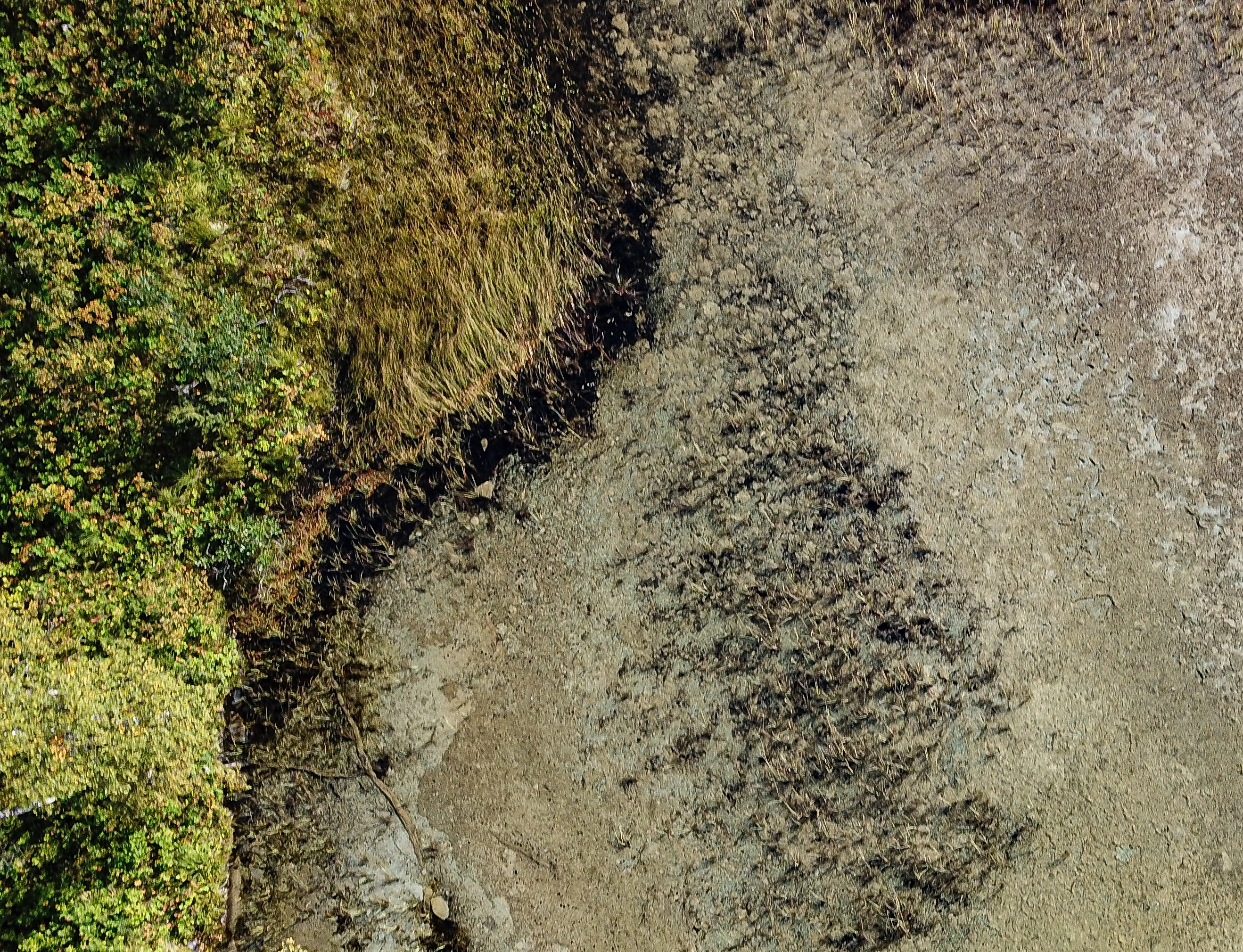 L2-C-10 Svært kalkrik fin innsjø-sedimentbunn i strandkant. L2 Eufotisk innsjø-sedimentbunn.