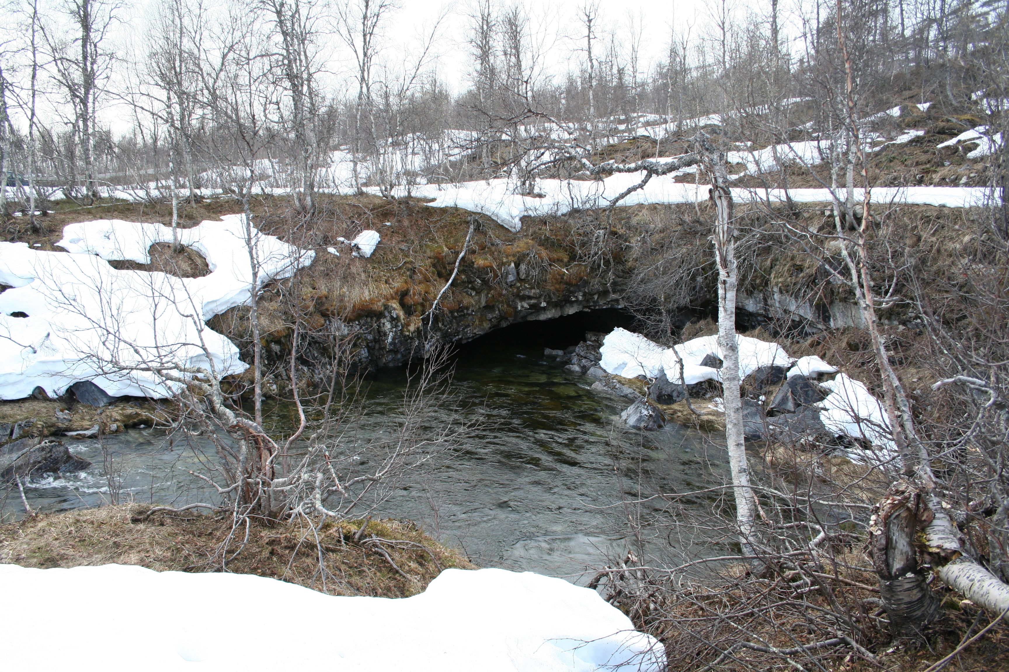 O1-C-14 Fast elvebunn i grotte.