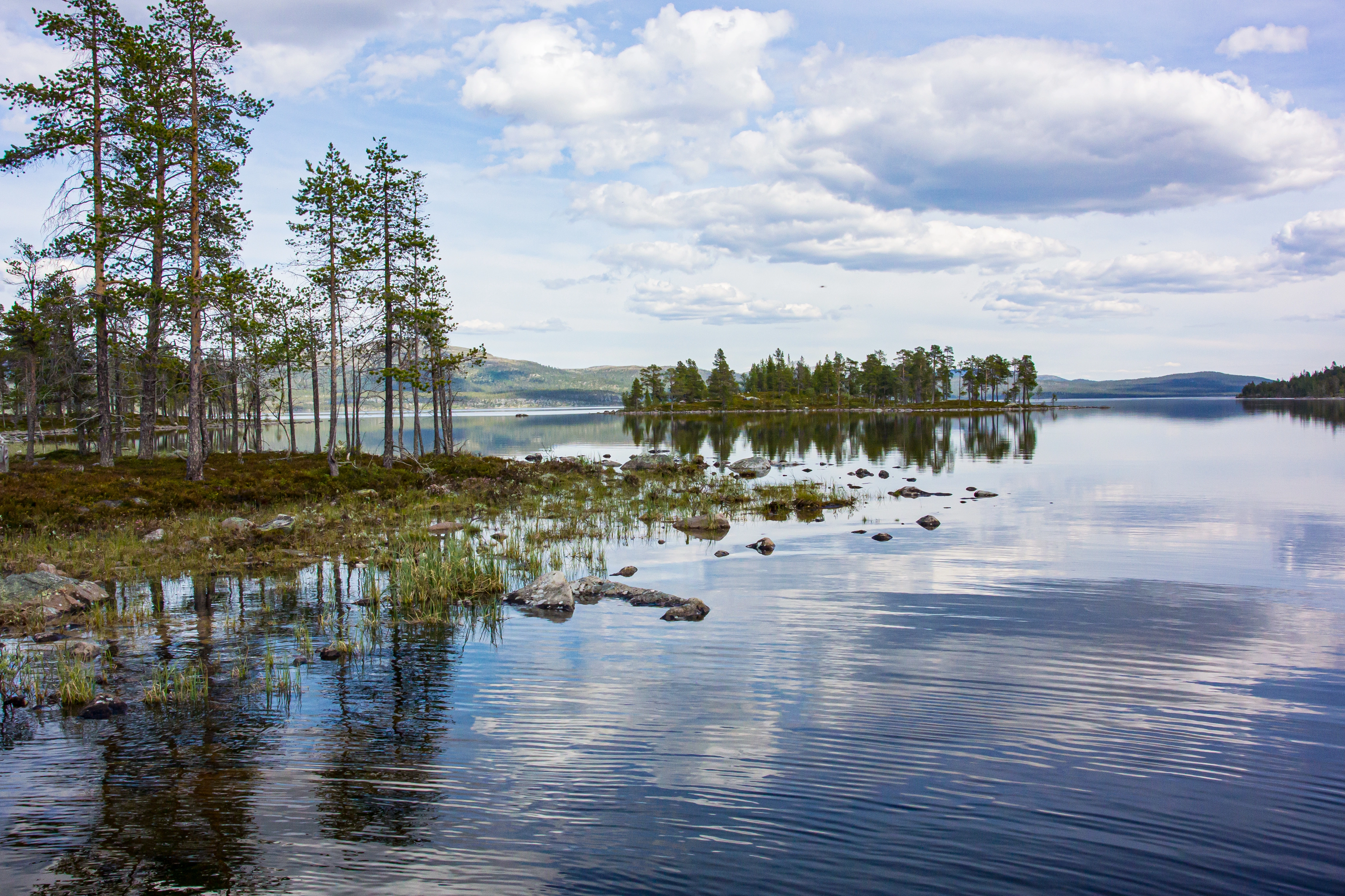 F1-C-9 Noe kalkfattige og klare lagdelte vannmasser med middels komplekst fiskesamfunn. F1 Lagdelte fullsirkulerende (mono- og dimiktiske) vannmasser med fiskesamfunn.