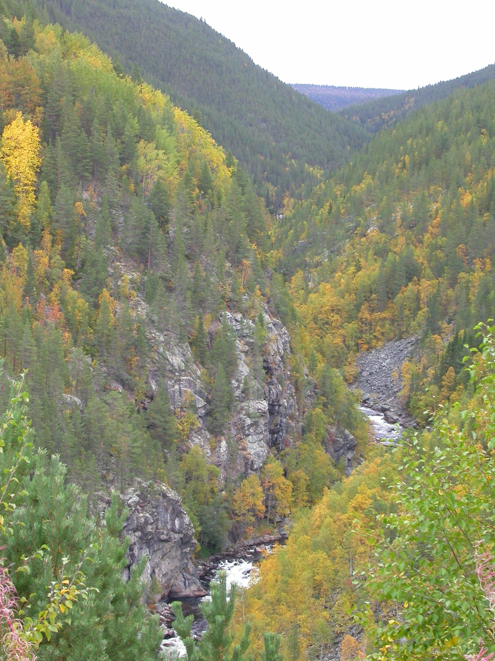 NIN-3.0-T-A-LV-FL-0-L-D09 V-dal.