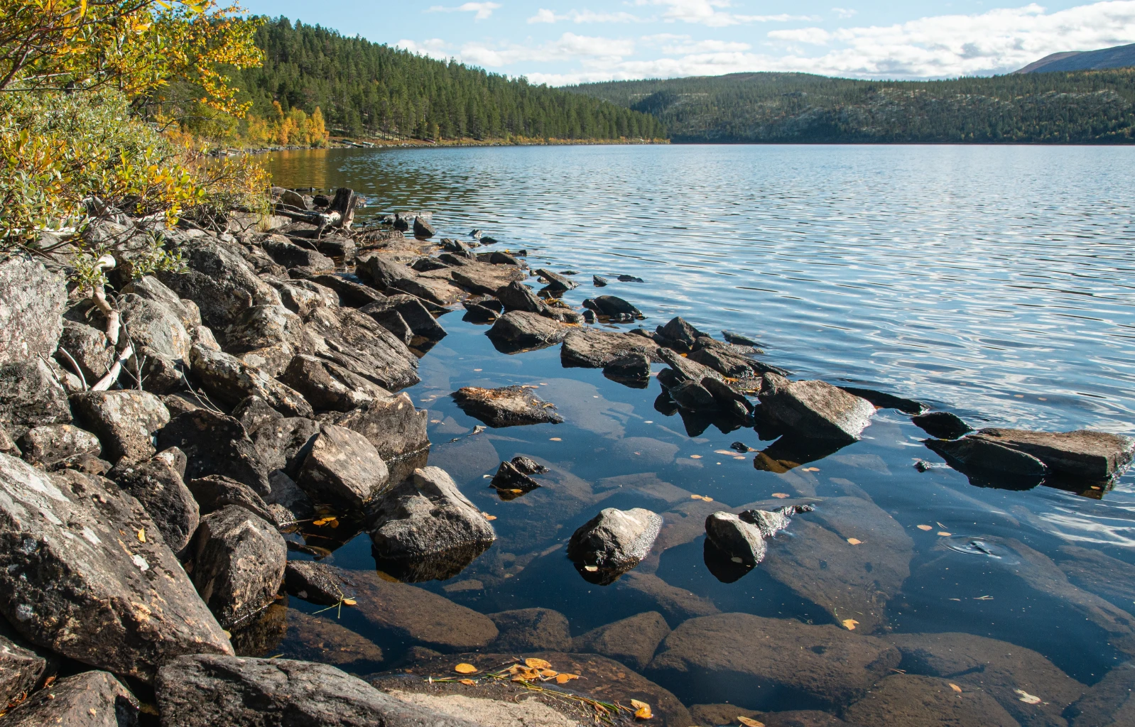 Bilde av naturtypen