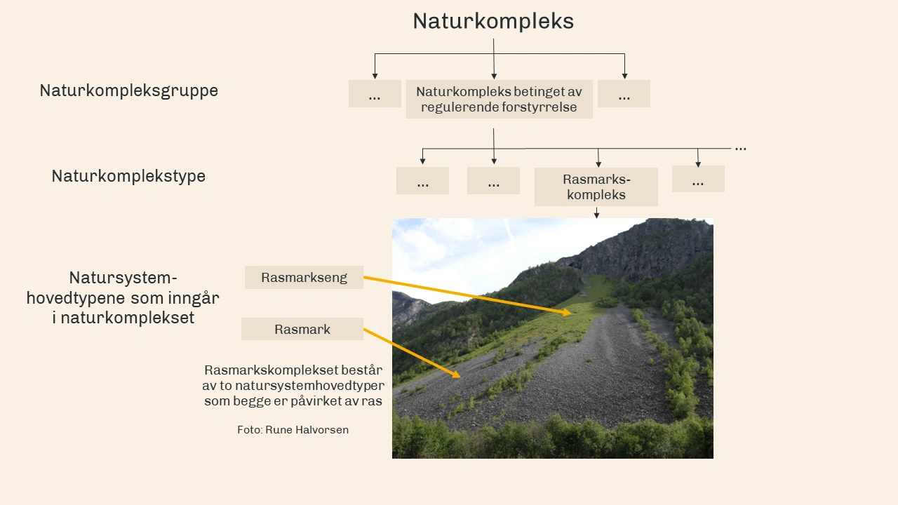 Naturkompleks-hierarkiet