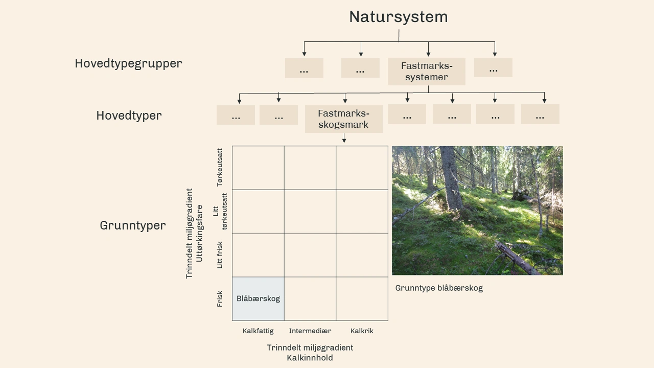 Natursystem-hierarkiet