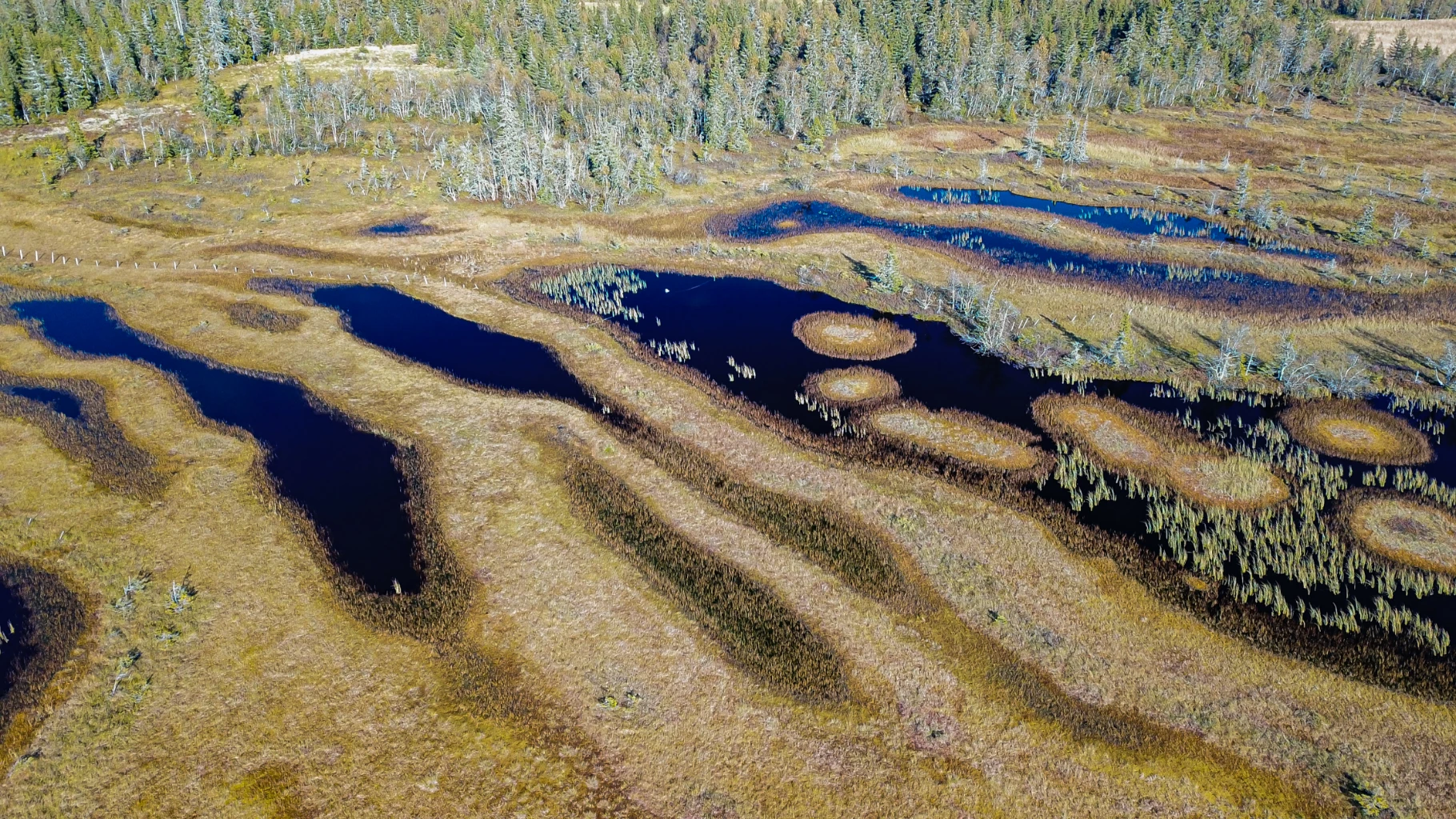 Bilde av naturtypen