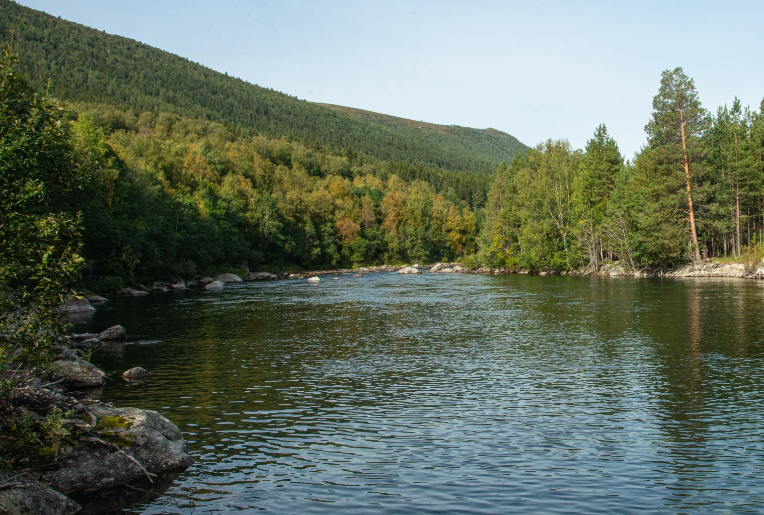 Bilde av naturtypen