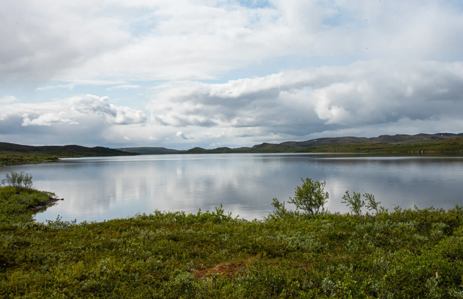 Bilde av naturtypen