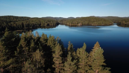 Bilde av Innsjø-vannmassesystemer preget av oksygenmangel