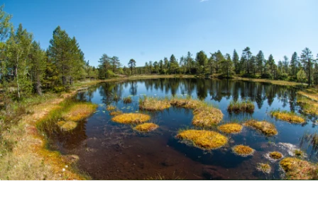 Bilde av Innsjø-vannmassesystemer preget av kronisk fysikalsk-kjemisk påvirkning