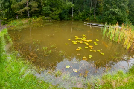 Bilde av Innsjø-vannmassesystemer preget av introduksjon eller bortfall av strukturerende organismer