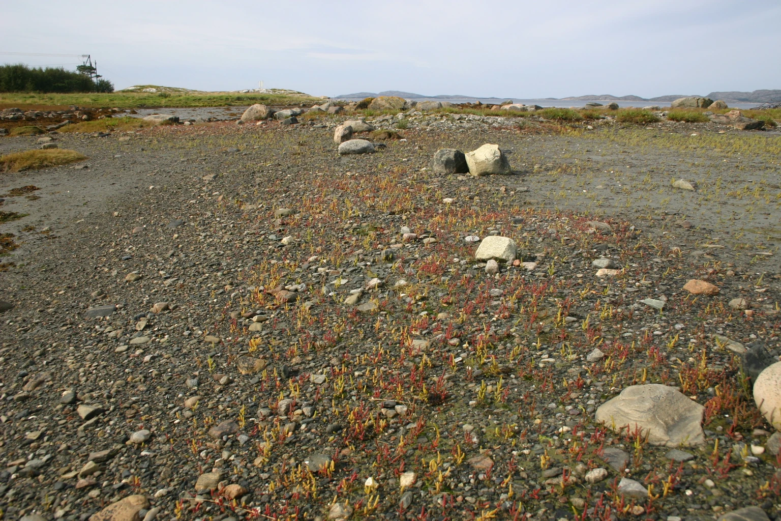 Bilde av naturtypen