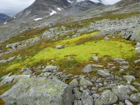 Bilde av Grunnkilde