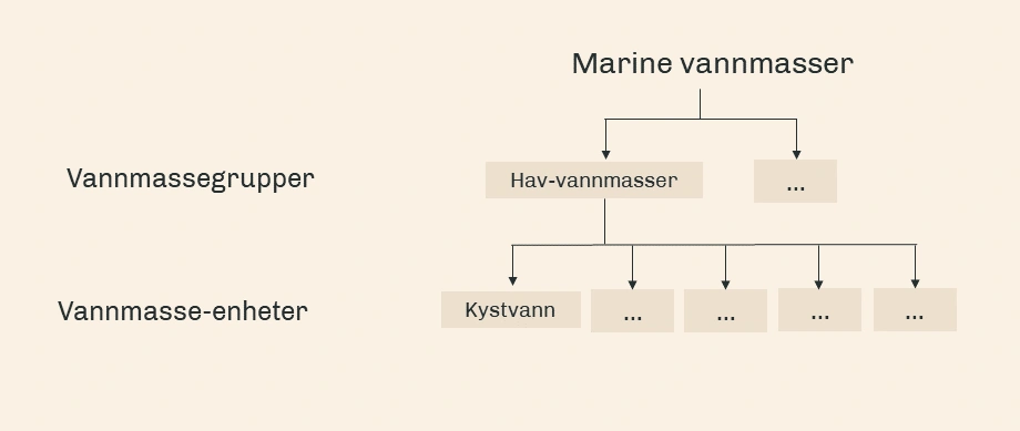 Hierarkiet i Marine vannmasser