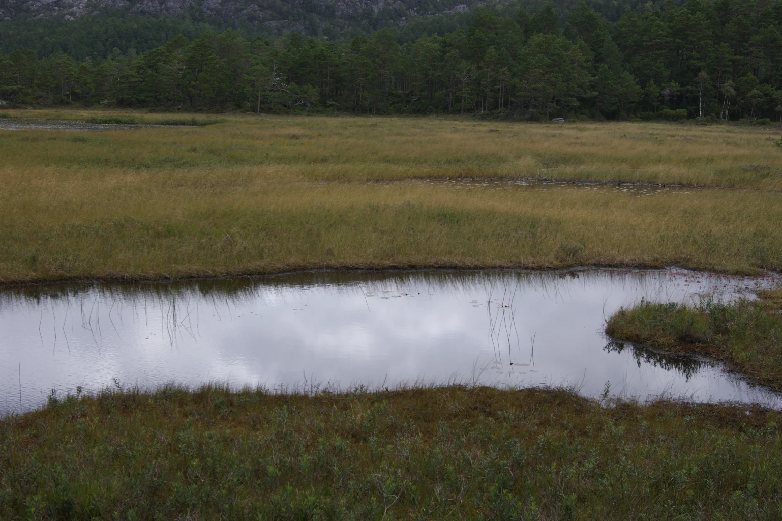 Bilde av naturtypen