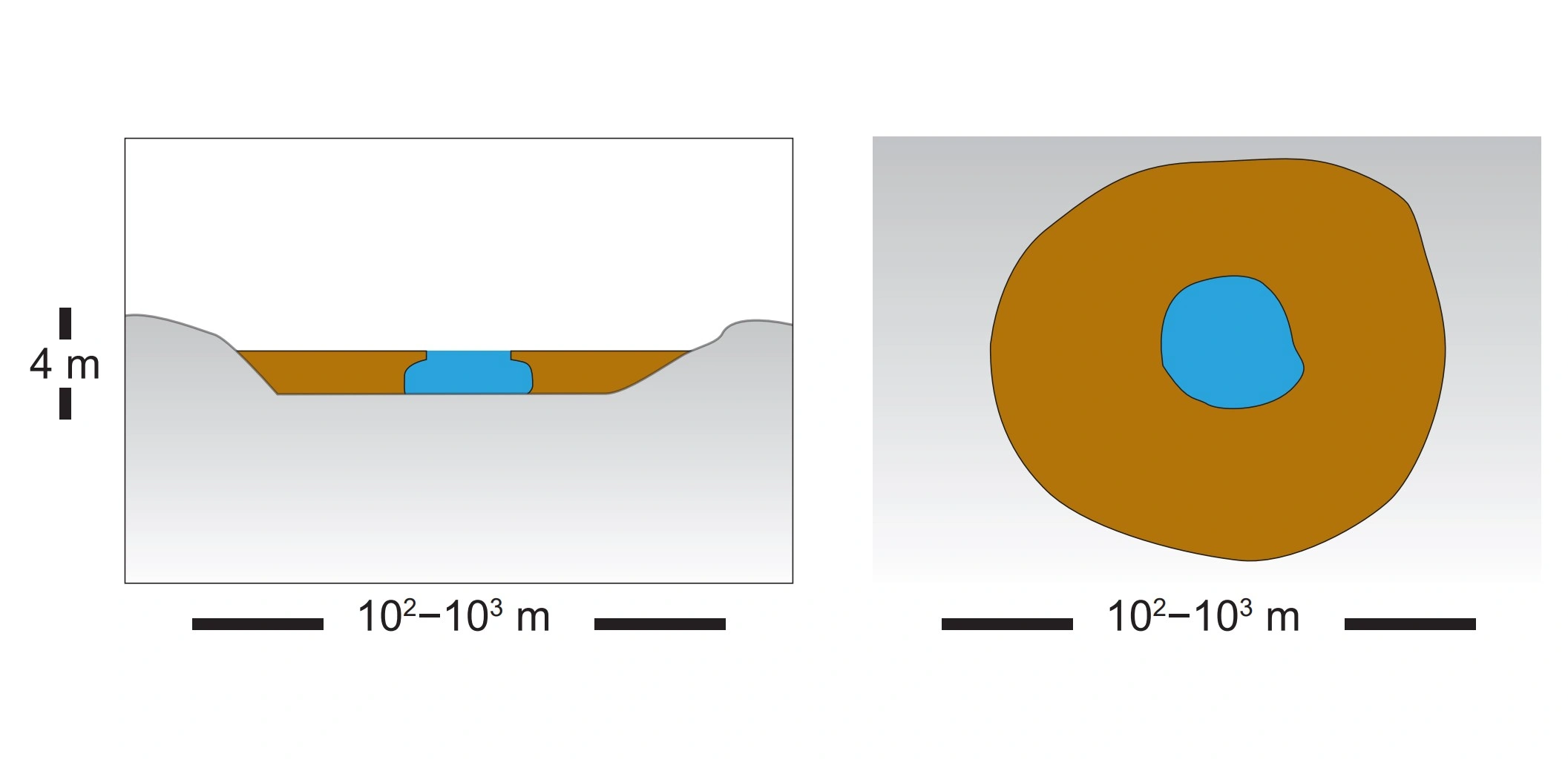 NIN-3.0-T-A-LV-TM-0-M-A01 Gjenvoksningsmyr.