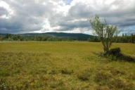 Nord for Kjerdelselva, Lierne, Trøndelag.
