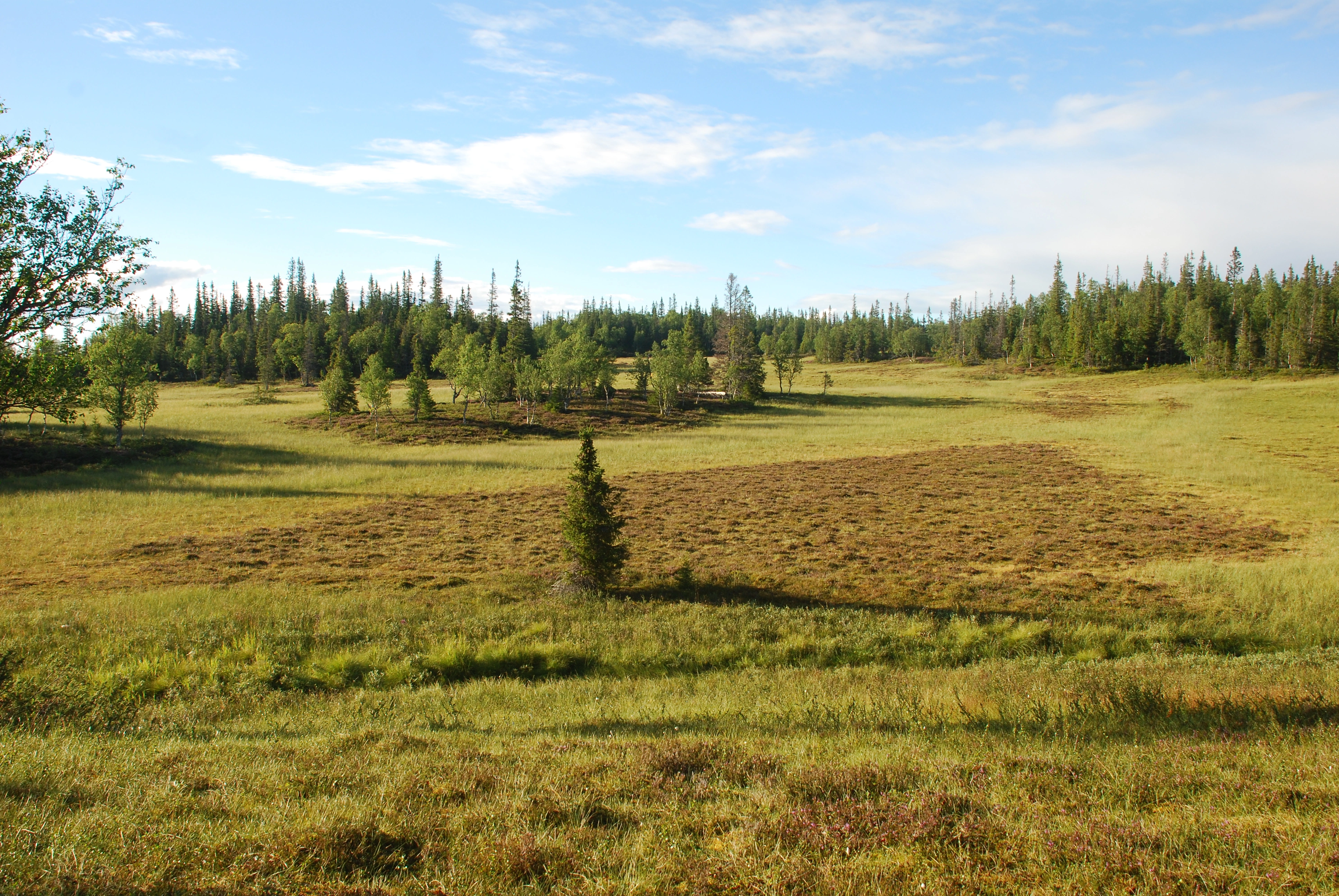 NIN-3.0-T-A-LV-TM-0-M-B01 Slakmyr.