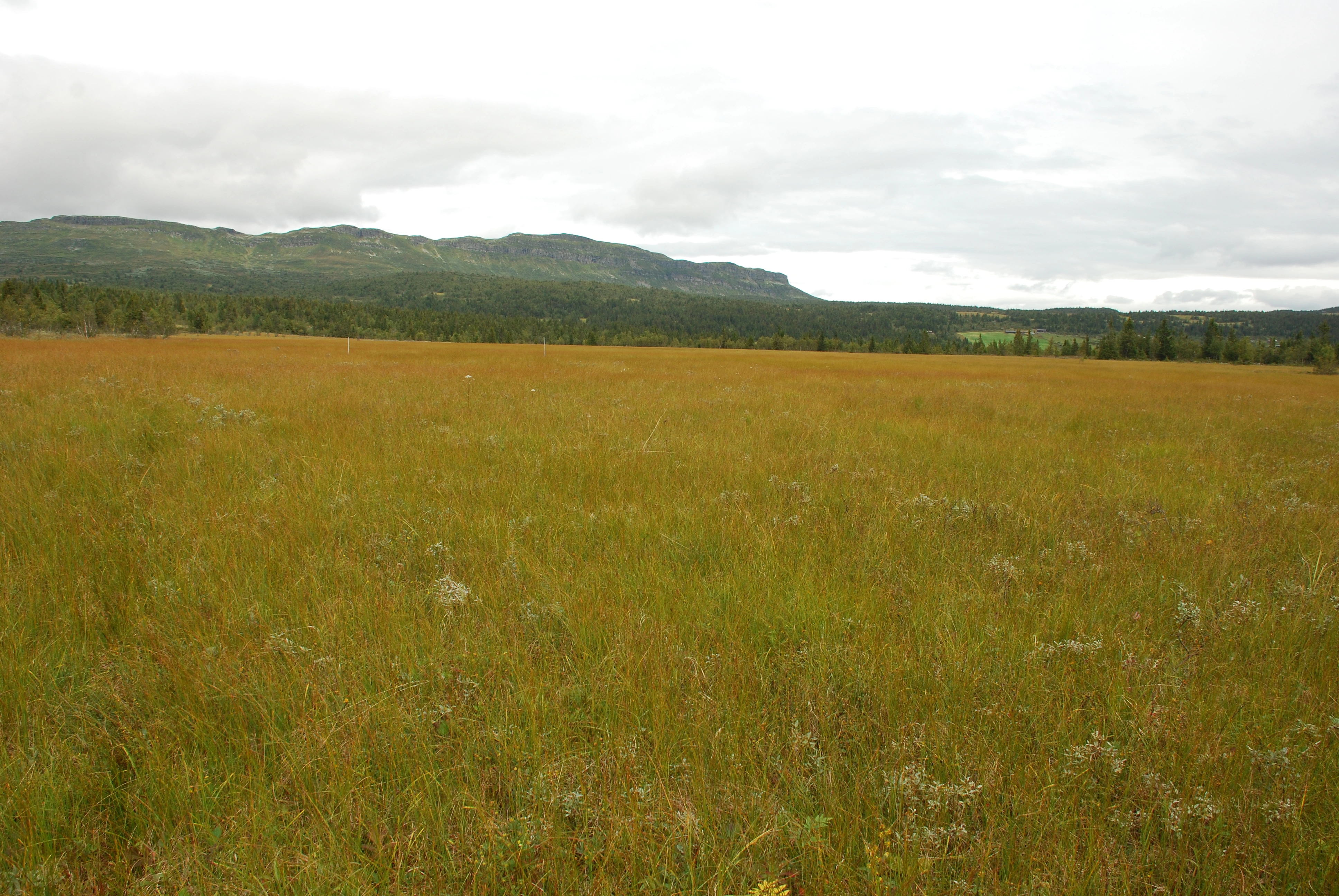 NIN-3.0-T-A-LV-TM-0-M-B01 Slakmyr.