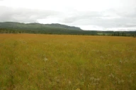 Langmyra ved Skeikampen, Gausdal, Oppland.
