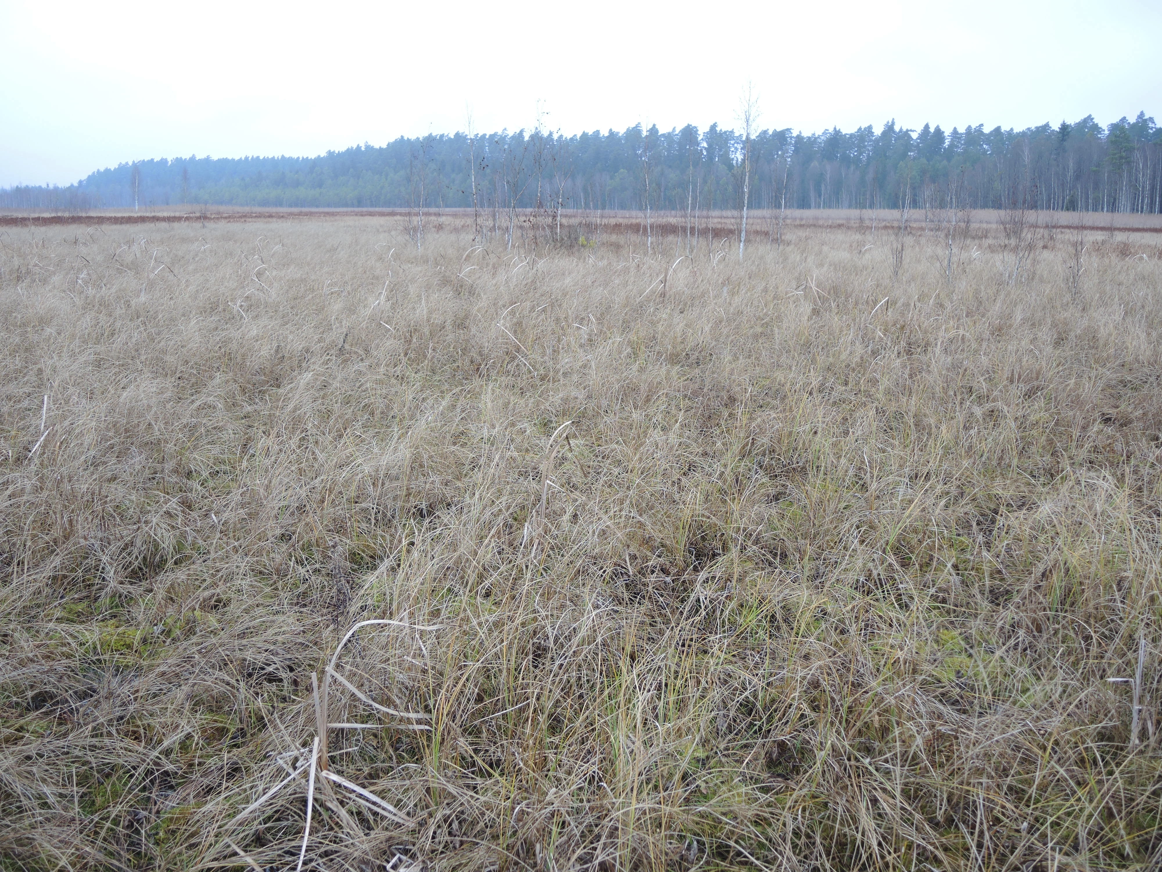 NIN-3.0-T-A-LV-TM-0-M-B02 Gjennomstrømningsmyr.