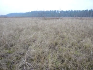 Rospuda, Sudovia, Polen.
