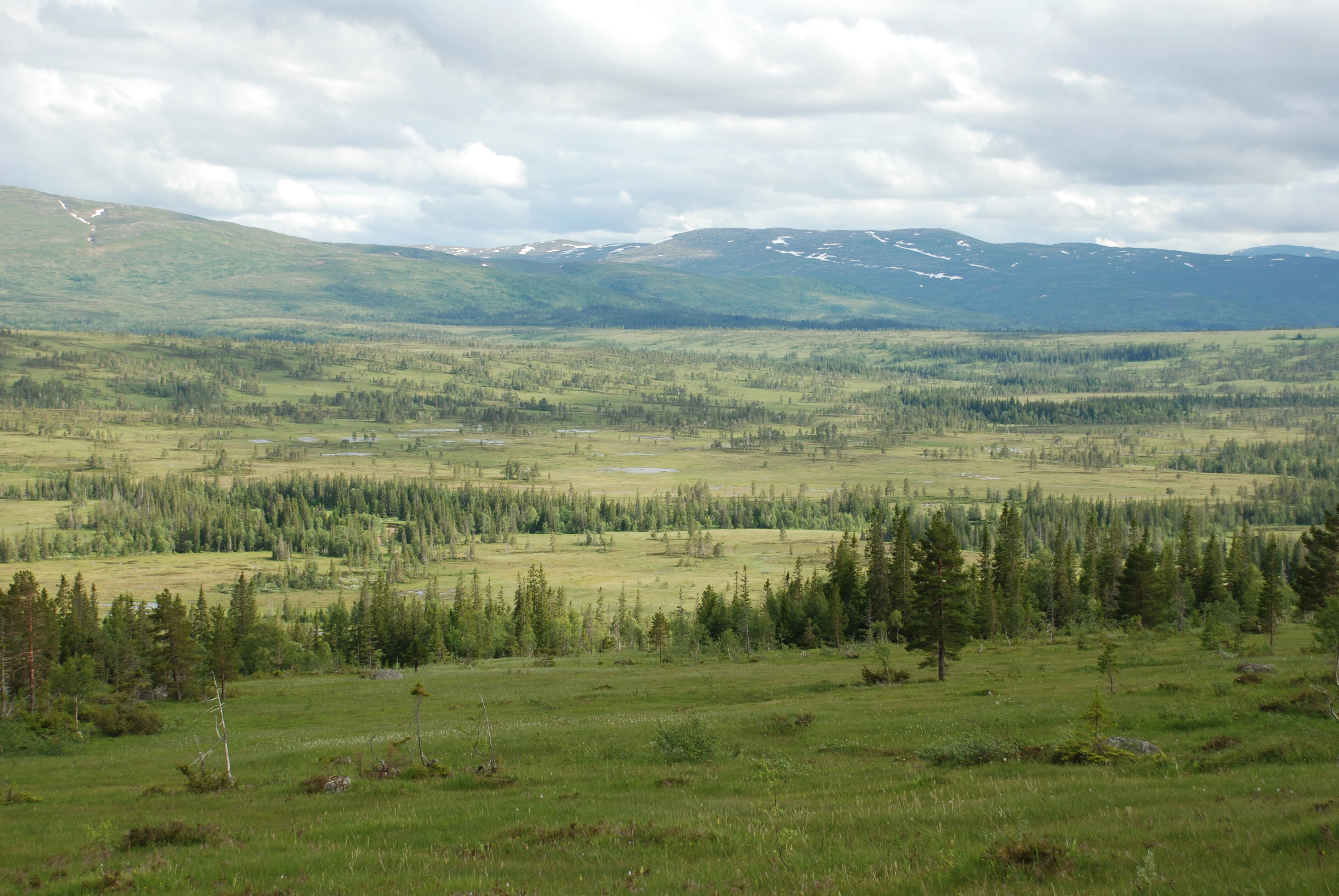 NIN-3.0-T-A-LV-TM-0-M-B03 Bakkemyr.