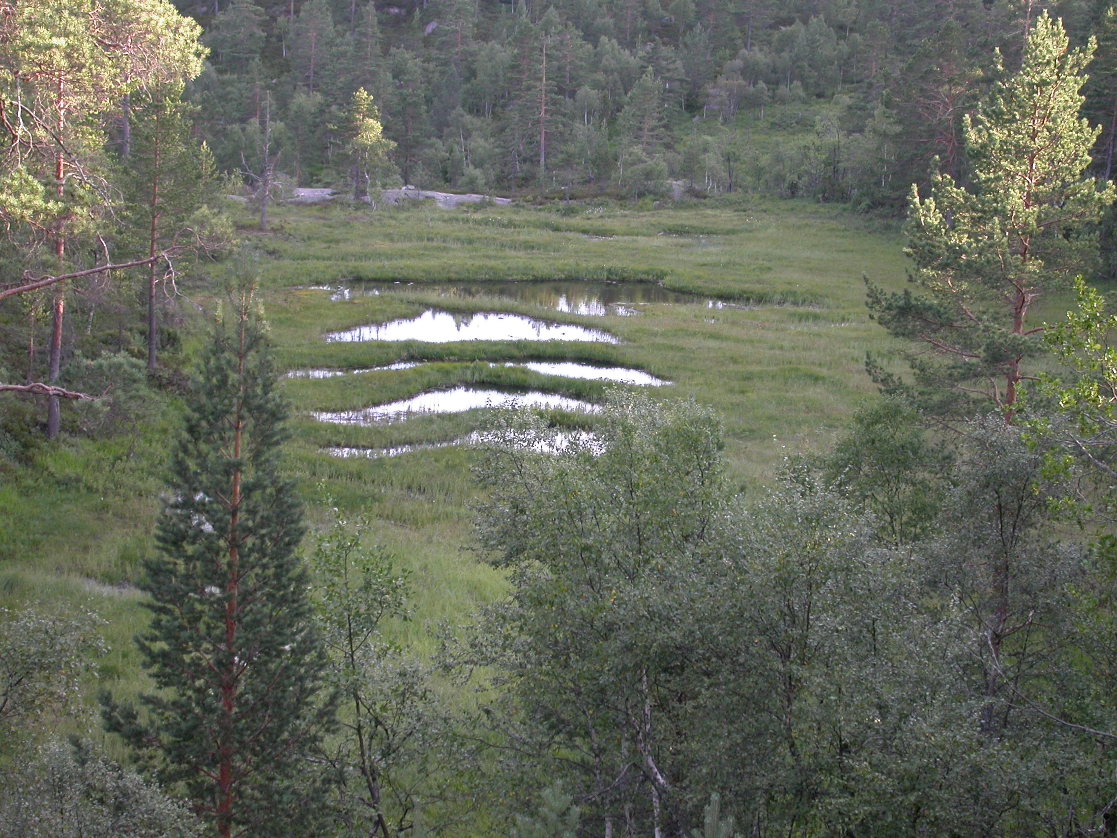 NIN-3.0-T-A-LV-TM-0-M-B04 Flarkmyr.